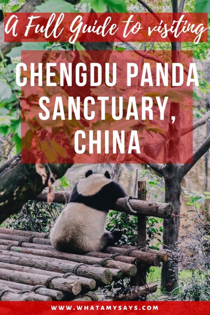 Chengdu panda sanctuary