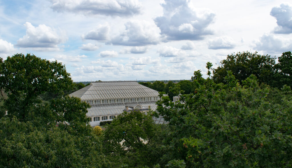 Kew Gardens Conservatory