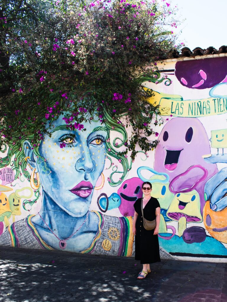 Colourful Street Art Oaxaca