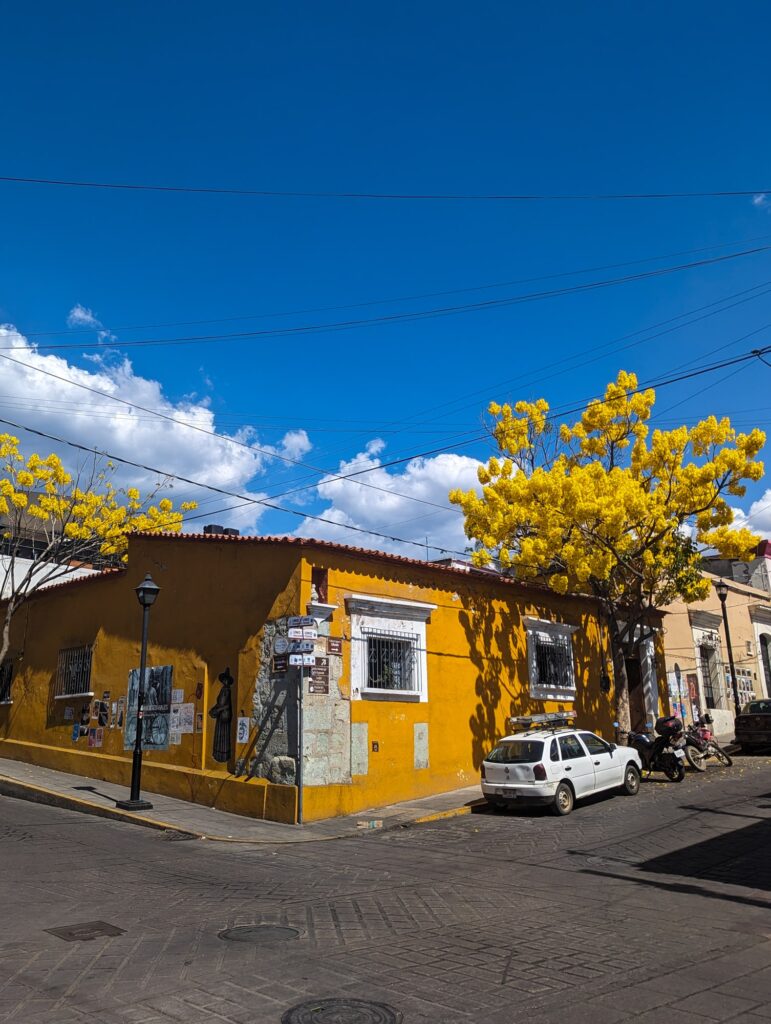 Yellow Building in Oaxaca City