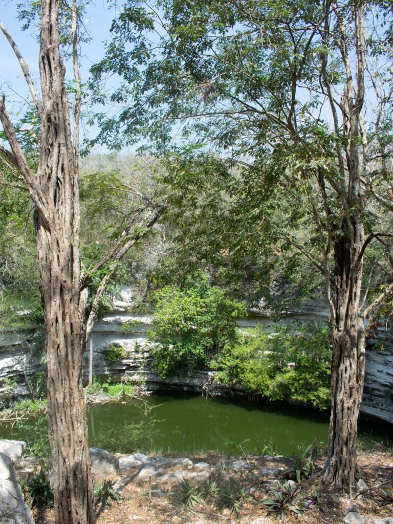 Cenote at Chichen Itza