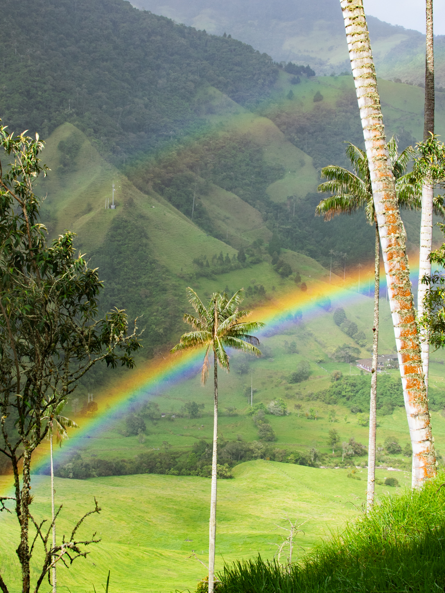 Cocora Valley Rainbow